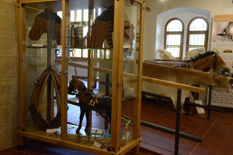 Švýcárna - interaktivní muzeum starokladrubského koně