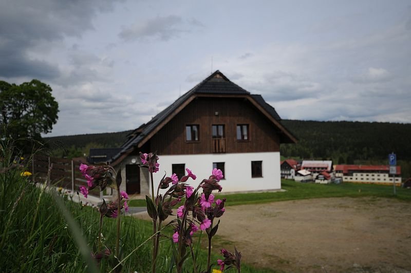 Aparthotel Teddy