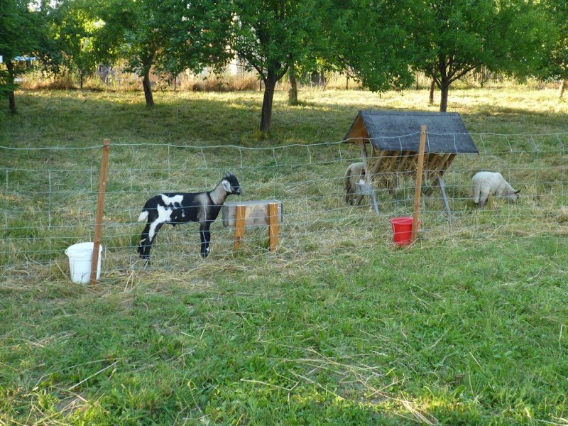 Camping Rožnov