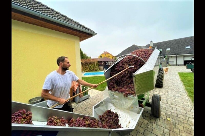 Vinařství Grmolec