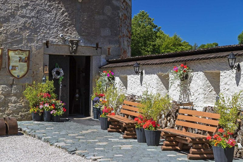 Hrad Vildštejn