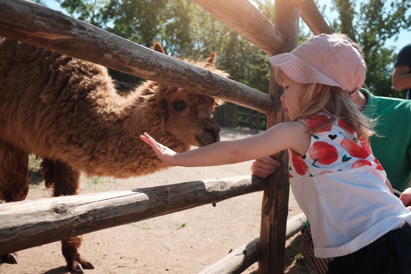 Zoopark Zájezd