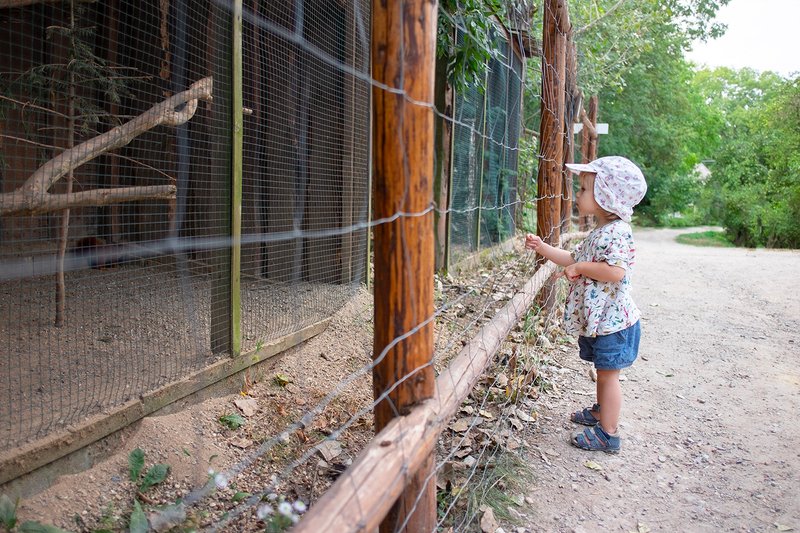 Zoopark Zájezd