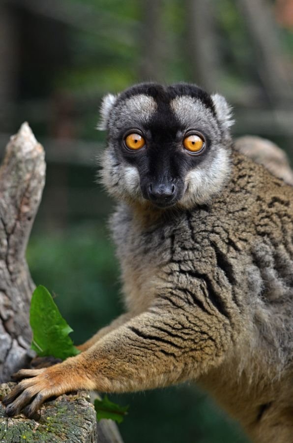 Zoopark Zájezd