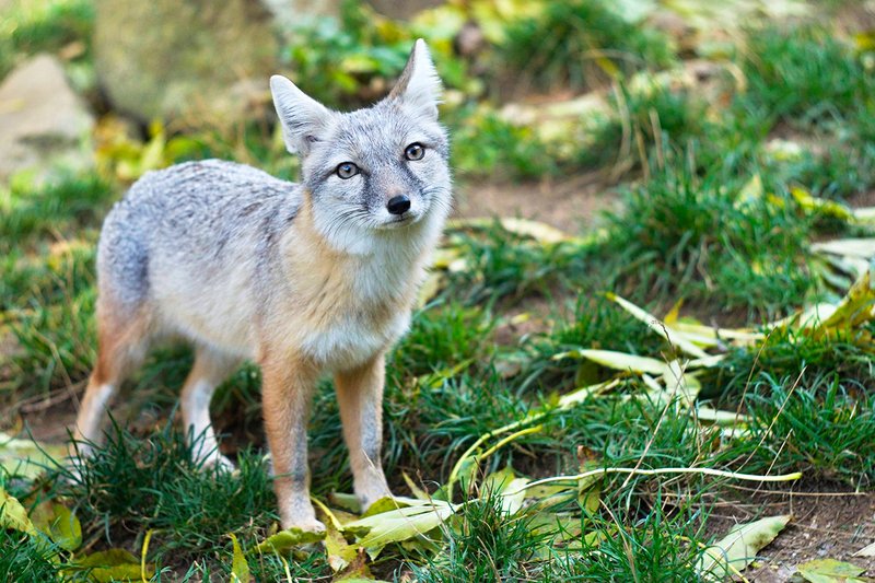 Zoopark Zájezd