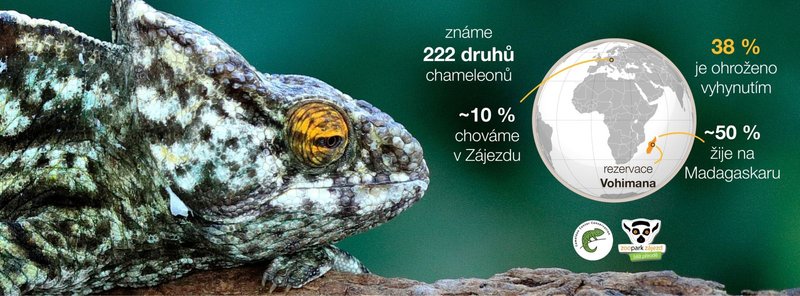 Zoopark Zájezd