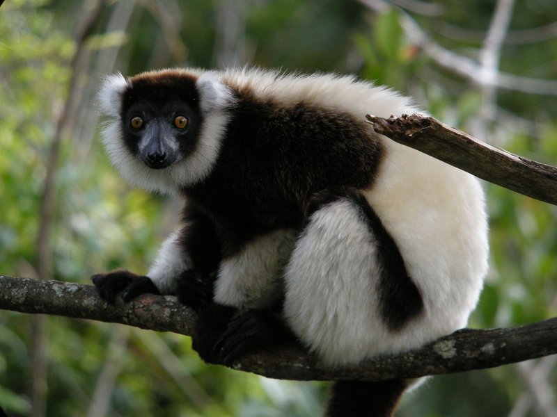 Zoopark Na Hrádečku