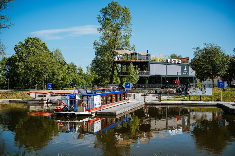 Bistro Dog in Dock