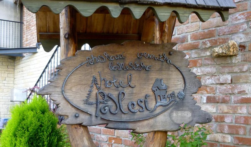 Spa hotel Podlesí