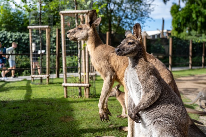 Zoo Praha