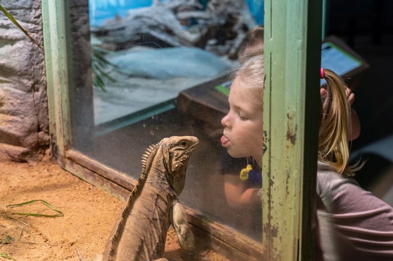 Zoo Praha